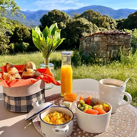Tradition Corse Et Modernite A Cantina Granace Bagian luar foto