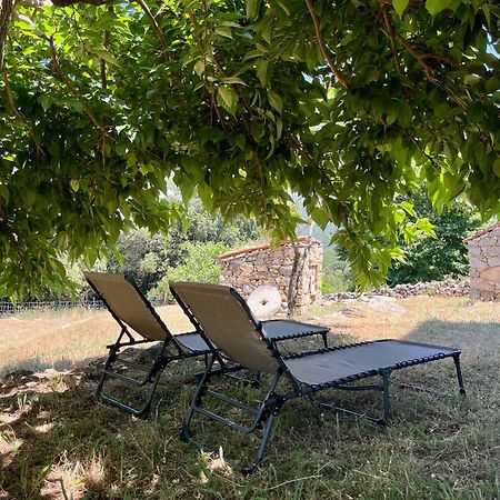 Tradition Corse Et Modernite A Cantina Granace Bagian luar foto
