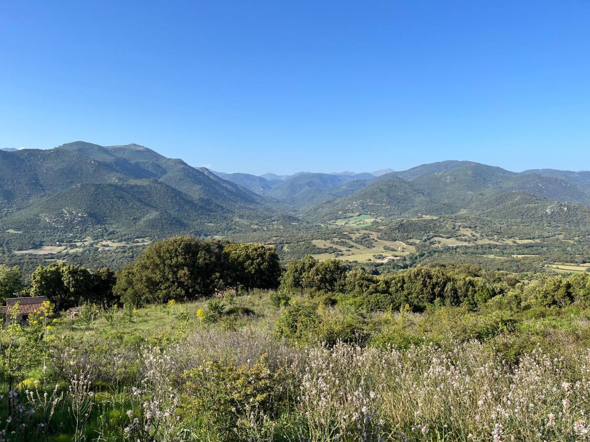 Tradition Corse Et Modernite A Cantina Granace Bagian luar foto