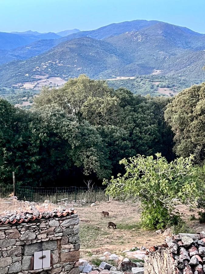 Tradition Corse Et Modernite A Cantina Granace Bagian luar foto