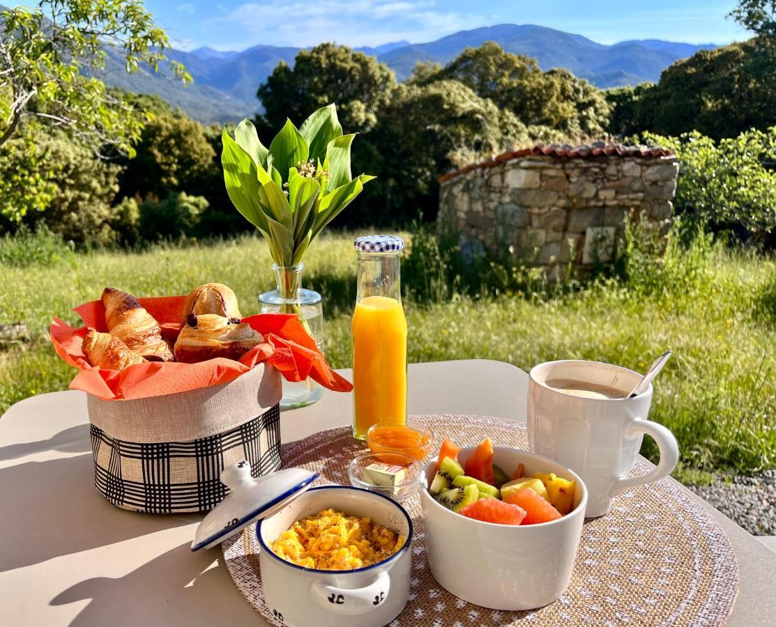 Tradition Corse Et Modernite A Cantina Granace Bagian luar foto