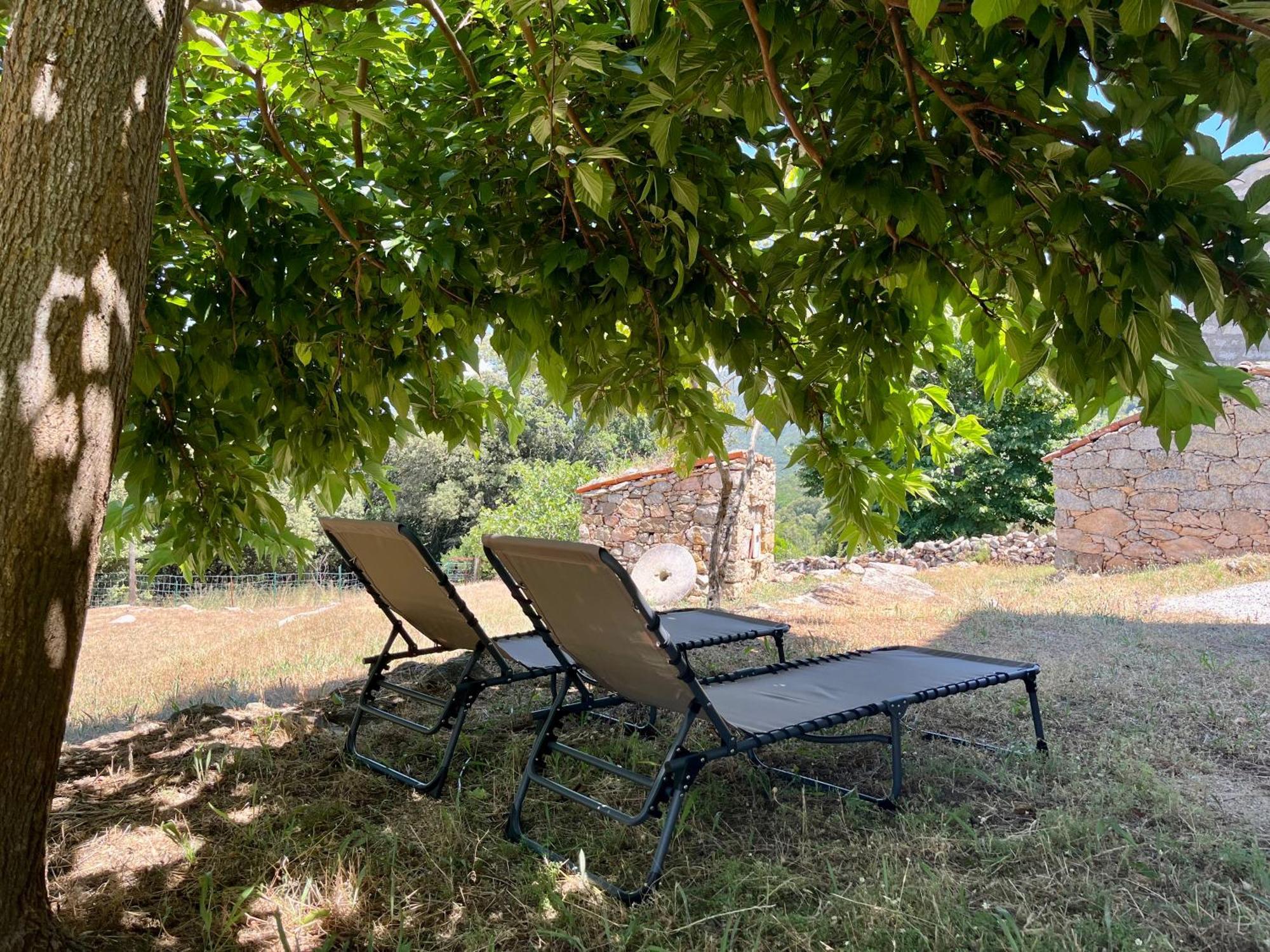 Tradition Corse Et Modernite A Cantina Granace Bagian luar foto